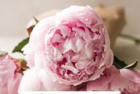 June 2018 Friday Five Roundup