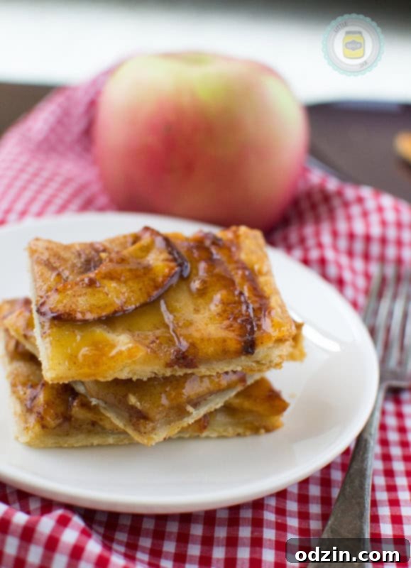 Pinterest icon for sharing this delicious Apple Pie French Tart recipe.
