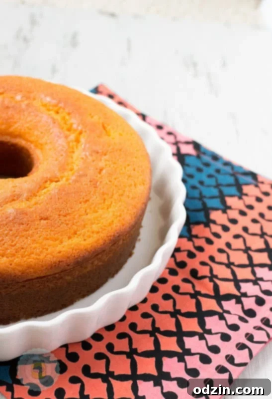 Moroccan Orange Cake, beautifully golden-brown and elegantly shaped, ready to be served