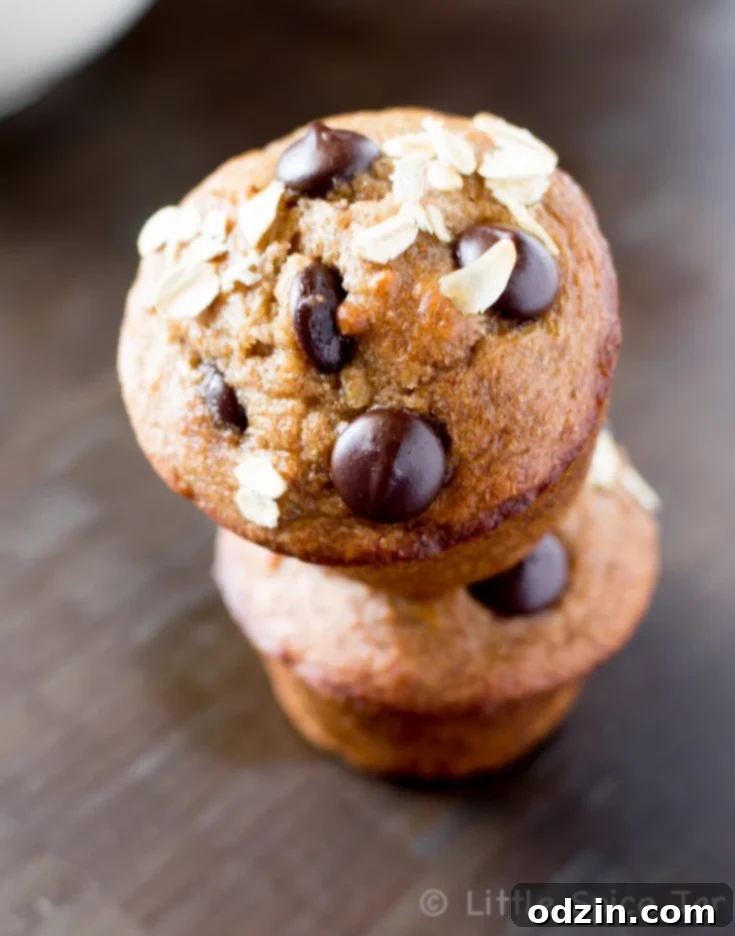 Healthy Chocolate Chip Banana Muffins