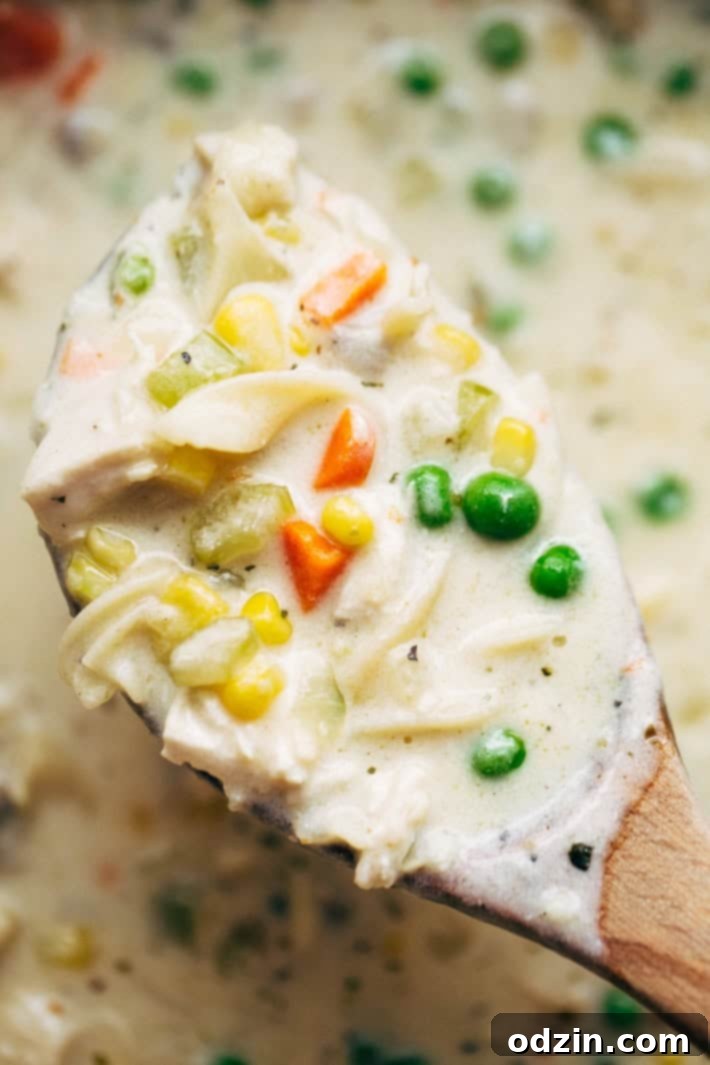 Hearty Chicken Pot Pie Soup with Egg Noodles and Veggies Rich and Creamy Chicken Pot Pie Soup - A hearty twist on chicken pot pie featuring tender egg noodles, shredded chicken, and a medley of garden vegetables in a savory, cheesy cream base. Perfect for a cozy meal. #chickenpotpiesoup #comfortfoodrecipe