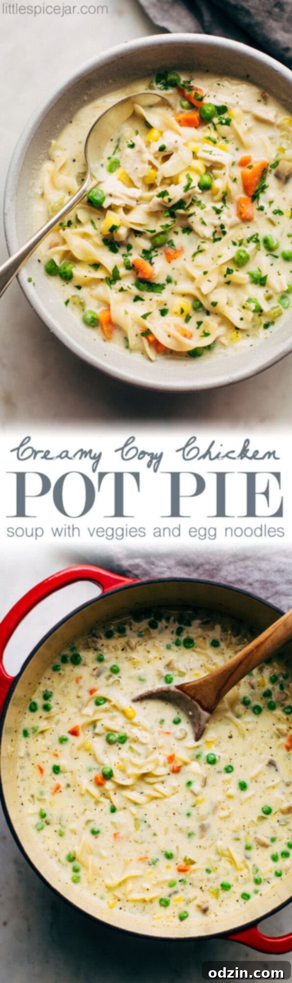 Two Bowls of Homemade Chicken Pot Pie Soup Overhead shot of two bowls of Creamy Chicken Pot Pie Soup - Warm, inviting bowls of chicken pot pie soup garnished with fresh herbs, ready for a comforting meal. #soup #dinnerideas #cozyfood