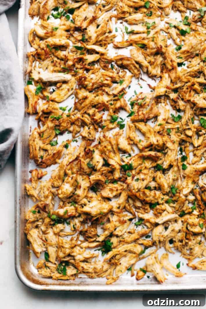 Pressure Cooker Crispy Chicken Carnitas - The easiest way to make carnitas! This instant pot recipe makes the most delicious carnitas! Top with lots of cilantro, onions, sautéed cabbage, and homemade chipotle sauce! #instantpot #carnitas #chickencarnitas #pressurecooker | Littlespicejar.com chicken carnitas on sheet pan