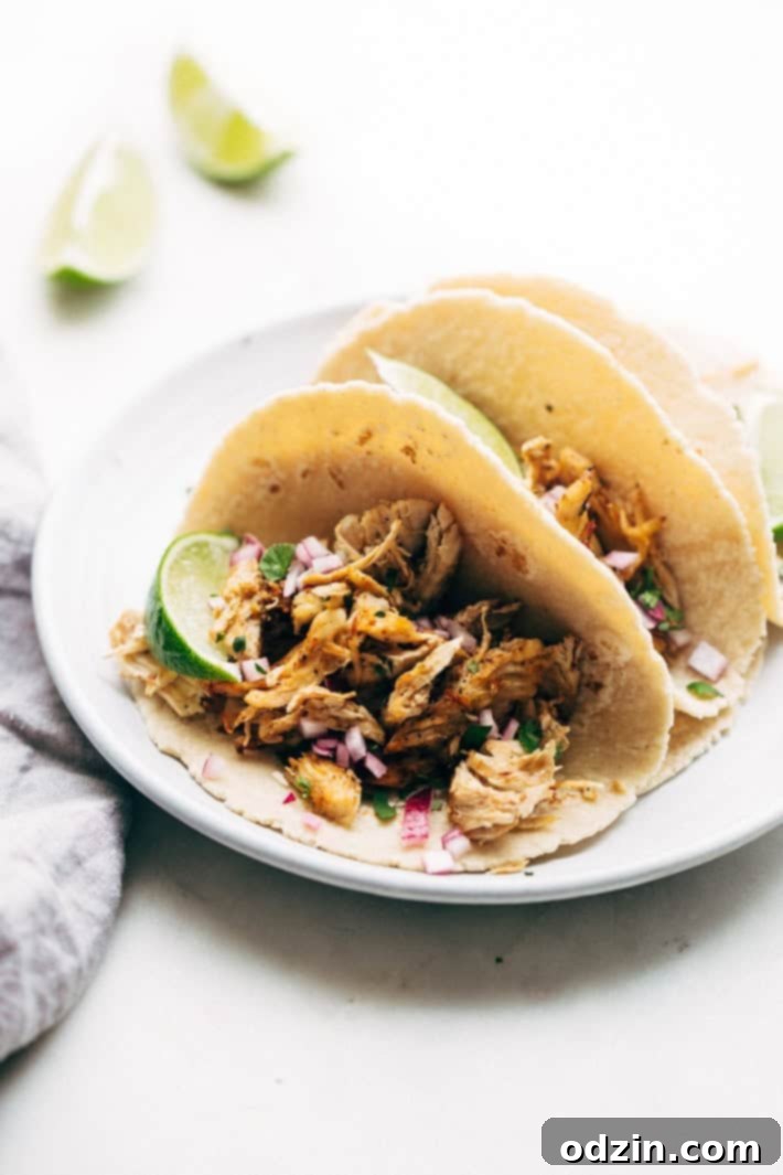 Pressure Cooker Crispy Chicken Carnitas - The easiest way to make carnitas! This instant pot recipe makes the most delicious carnitas! Top with lots of cilantro, onions, sautéed cabbage, and homemade chipotle sauce! #instantpot #carnitas #chickencarnitas #pressurecooker | Littlespicejar.com chicken carnitas tacos on plate