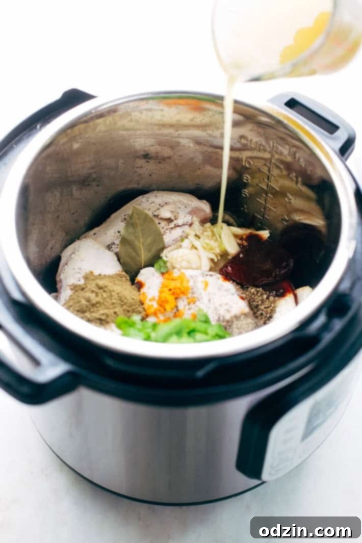 Pressure Cooker Crispy Chicken Carnitas - The easiest way to make carnitas! This instant pot recipe makes the most delicious carnitas! Top with lots of cilantro, onions, sautéed cabbage, and homemade chipotle sauce! #instantpot #carnitas #chickencarnitas #pressurecooker | Littlespicejar.com pouring broth into instant pot with ingredients