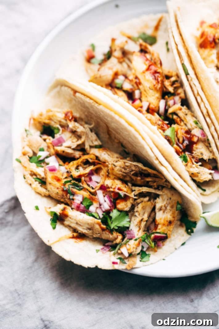Pressure Cooker Crispy Chicken Carnitas - The easiest way to make carnitas! This instant pot recipe makes the most delicious carnitas! Top with lots of cilantro, onions, sautéed cabbage, and homemade chipotle sauce! #instantpot #carnitas #chickencarnitas #pressurecooker | Littlespicejar.com carnitas tacos on plate