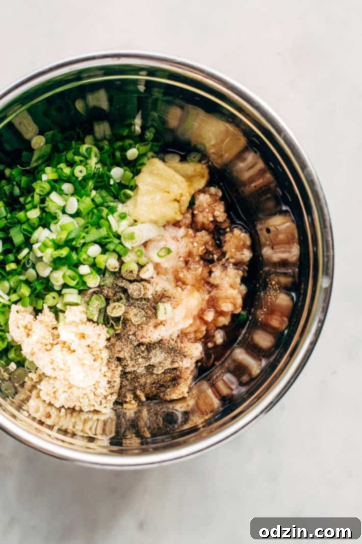 Crazy Good Potstickers with 3-Ingredient Dipping Sauce - The perfect potstickers to make with friends, family, or your significant other on a weekend. The filling is quick and easy to make and these potstickers are so very good! #potstickers #gyoza #jiaozi #wonton | Littlespicejar.com
