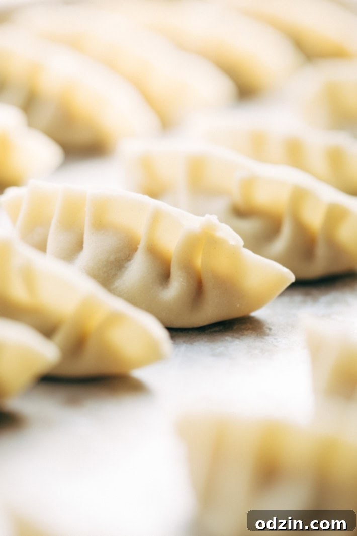 Crazy Good Potstickers with 3-Ingredient Dipping Sauce - The perfect potstickers to make with friends, family, or your significant other on a weekend. The filling is quick and easy to make and these potstickers are so very good! #potstickers #gyoza #jiaozi #wonton | Littlespicejar.com