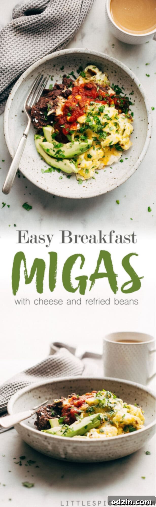 Easy Breakfast Migas - These Tex-Mex style scrambled eggs are made with tortilla chips, cheese, and lots of salsa! #migas #texmex #breakfast #brinner | Litltlespicejar.com Easy Breakfast Migas - These Tex-Mex style scrambled eggs are made with tortilla chips, cheese, and lots of salsa! #migas #texmex #breakfast #brinner | Litltlespicejar.com