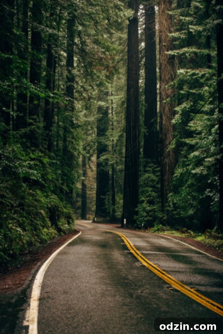 Winter wonderland road trip California