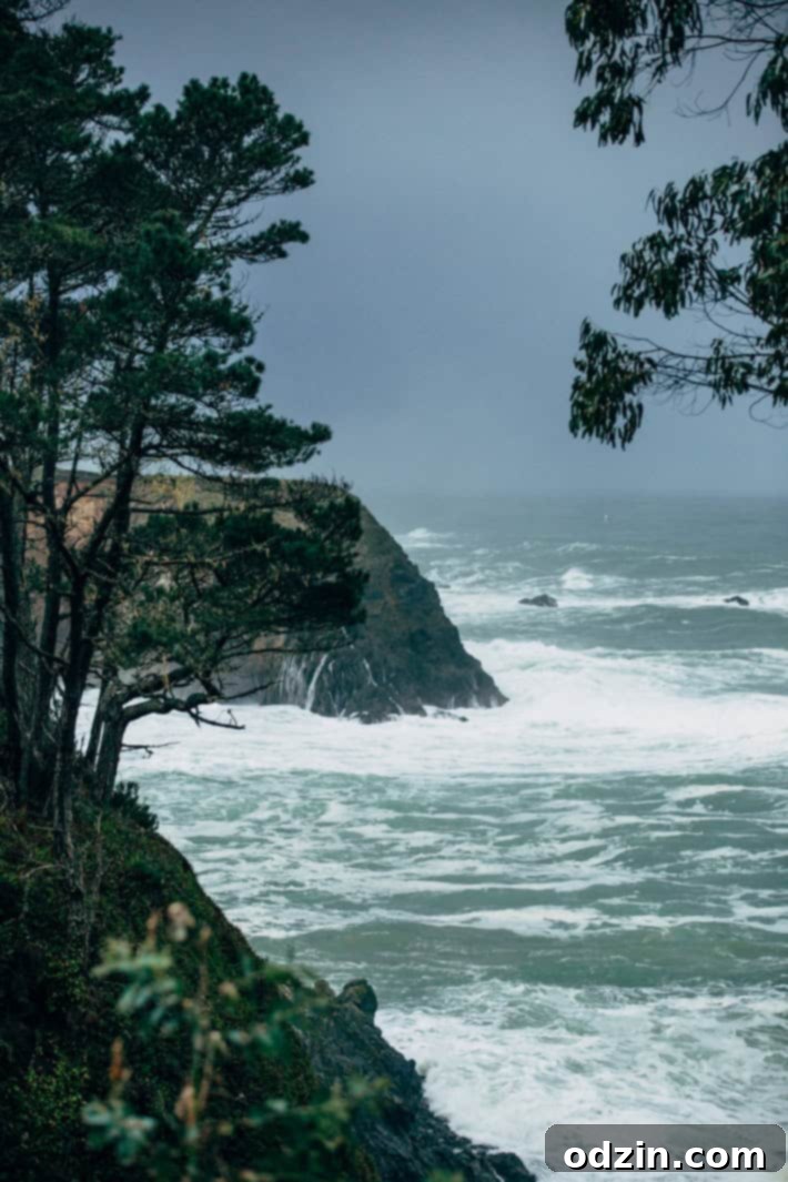 Ocean view from Heritage House Little River