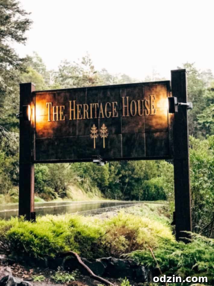 Coastal view from Mendocino