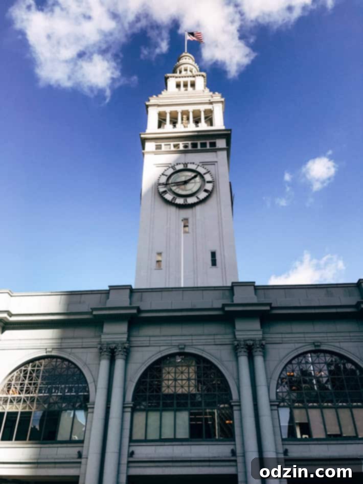 Wise Sons Jewish Deli bagels