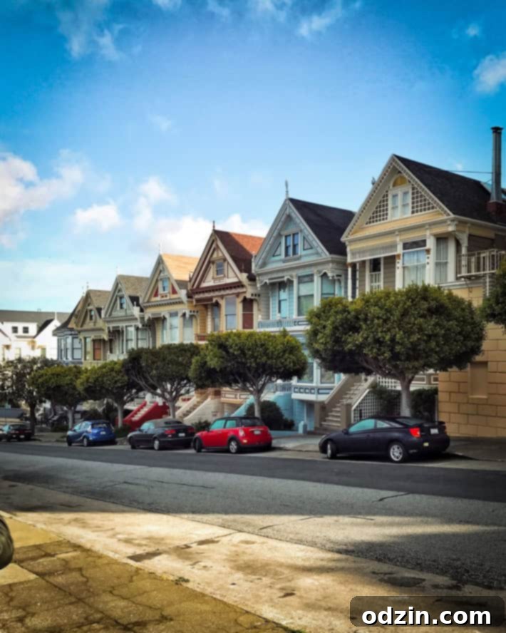 CREAM ice cream cookie sandwiches