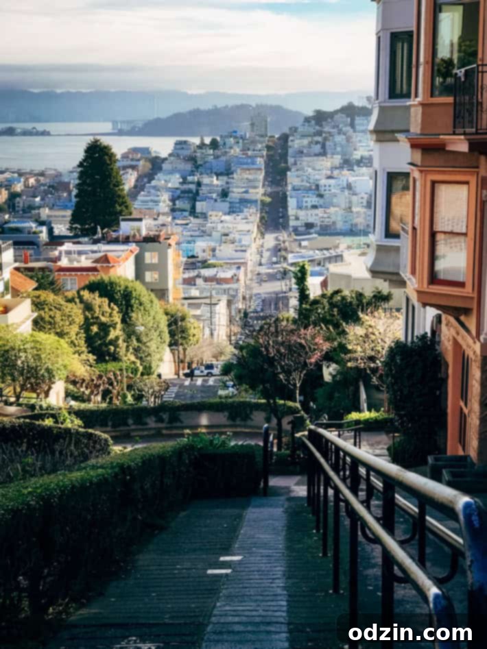 Blue Bottle Coffee cappuccino