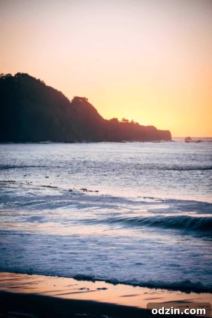 Tartine Bakery croissant
