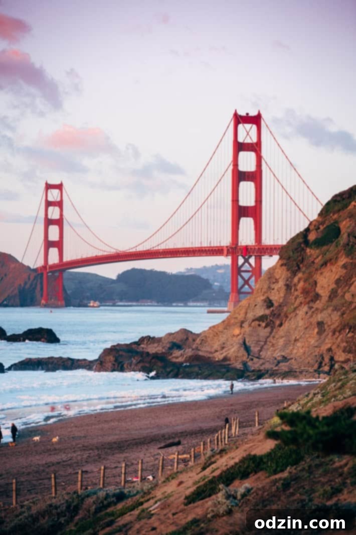 Sushirrito sumo crunch