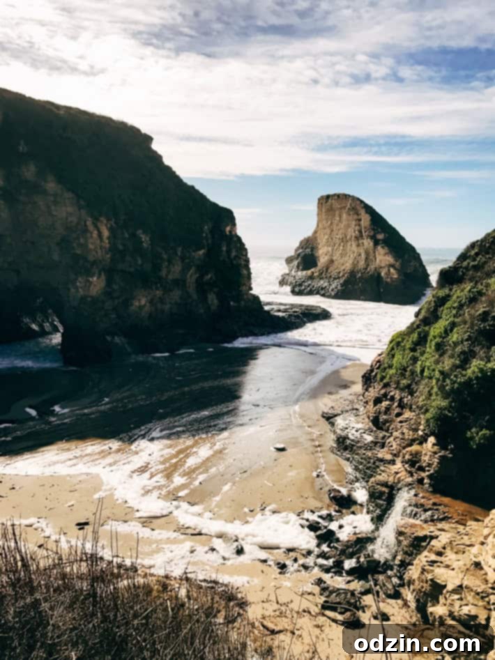 Shark Fin Cove rock formation