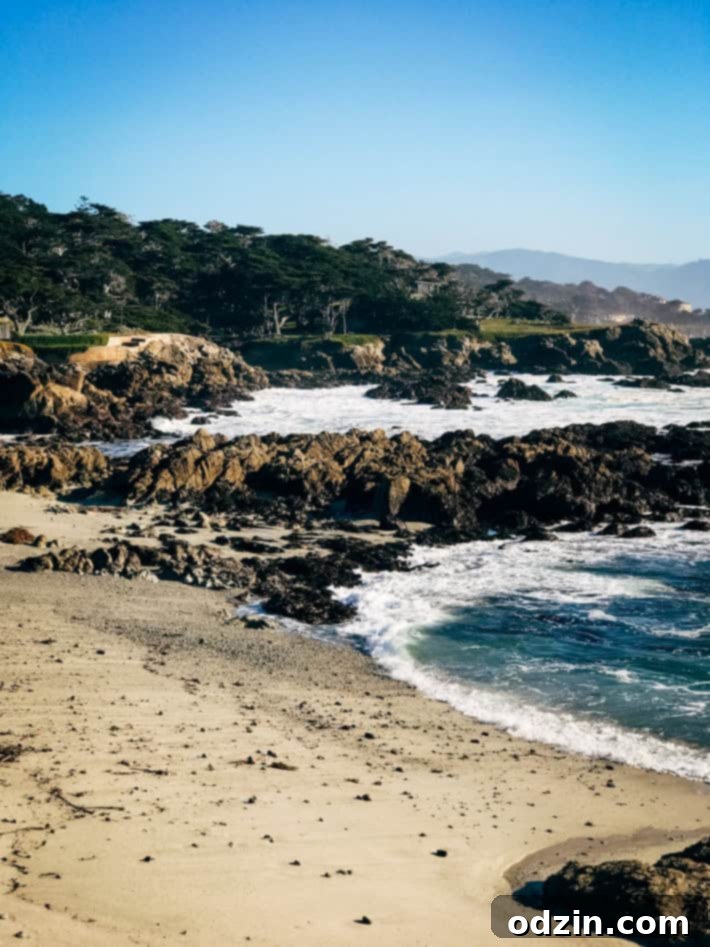 Inside Monterey Bay Aquarium