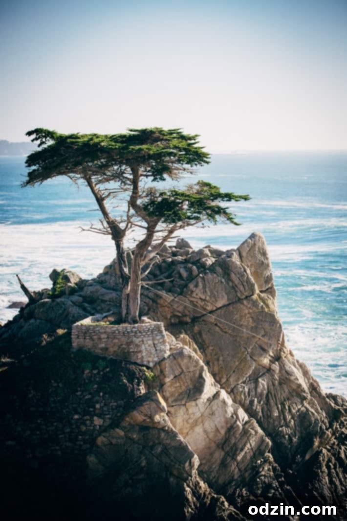 Pebble Beach 17 Mile Drive golf course