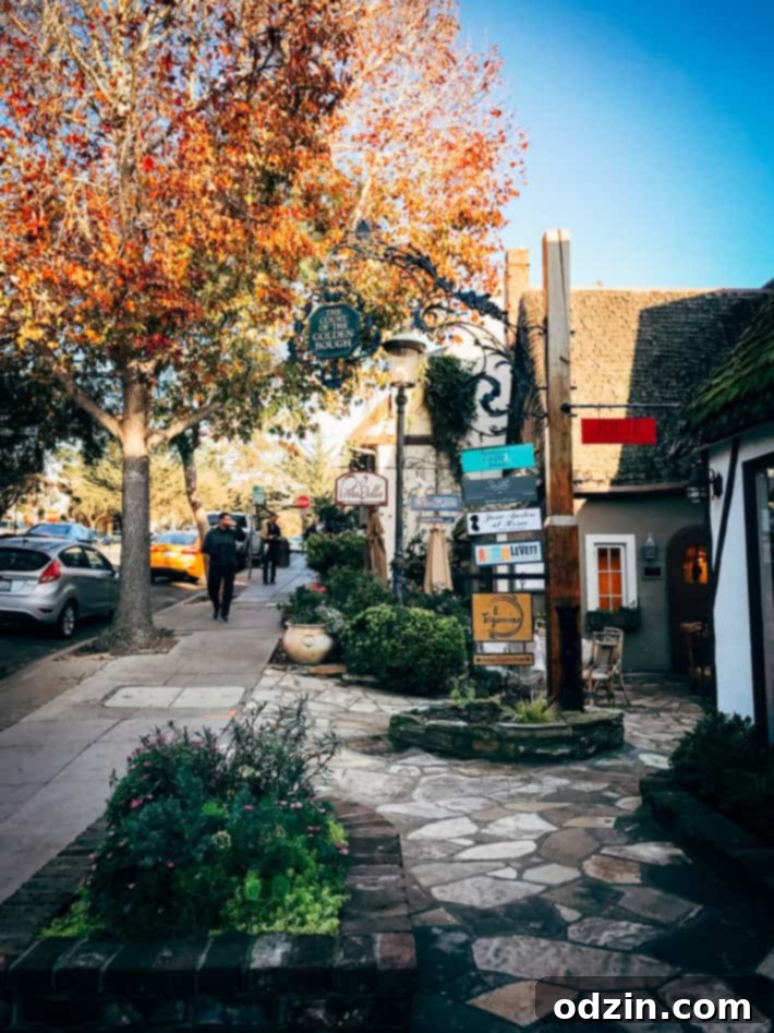 Big Sur coastline view