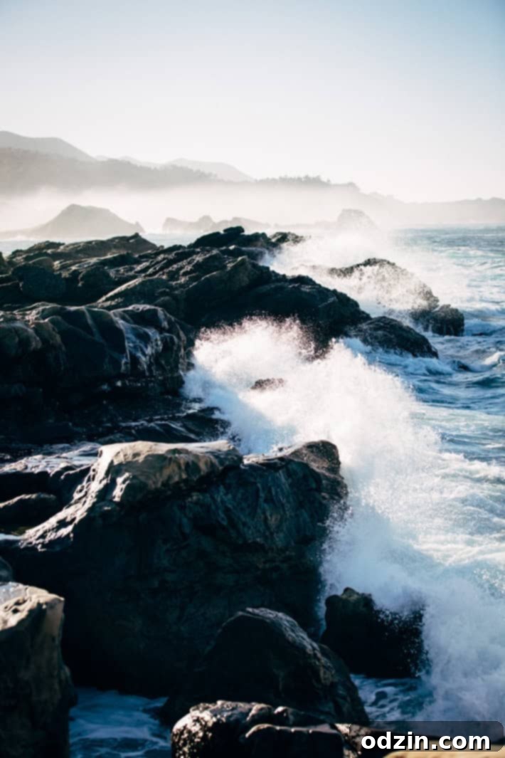 Pfeiffer Big Sur State Park redwoods