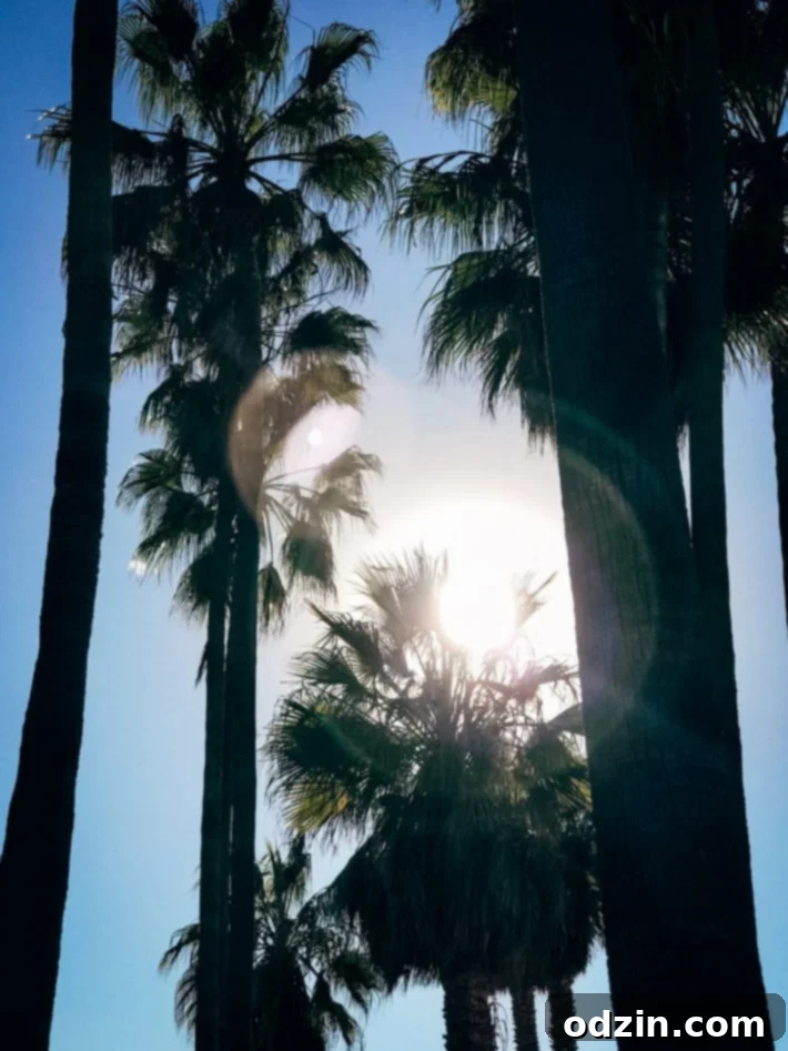 The Nautical Bean Coffee House breakfast