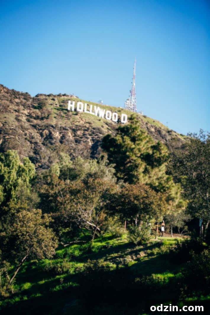Hollywood Walk of Fame stars