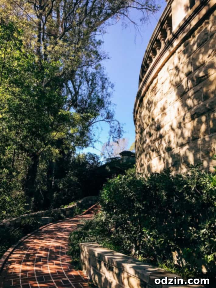 Rodeo Drive Beverly Hills luxury shopping