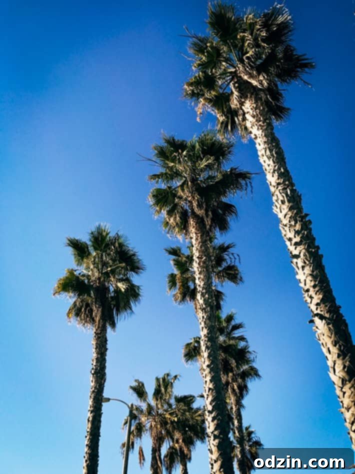 Eggslut breakfast sandwich