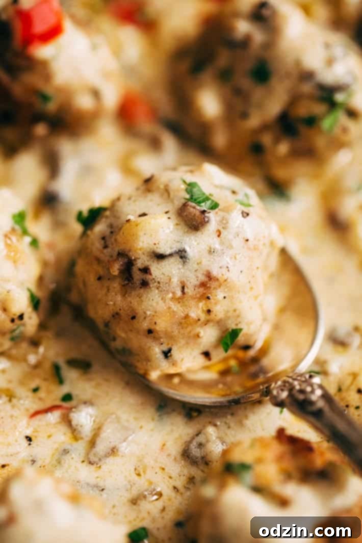 Cajun Chicken Meatballs in Tasty Cream Sauce - These flavorful chicken meatballs are cooked in a creamy, seasoned sauce, perfect for a hearty and comforting dinner. A close-up of Cajun Chicken Meatballs in Tasty Cream Sauce, showcasing the rich texture of the sauce and the tender meatballs.