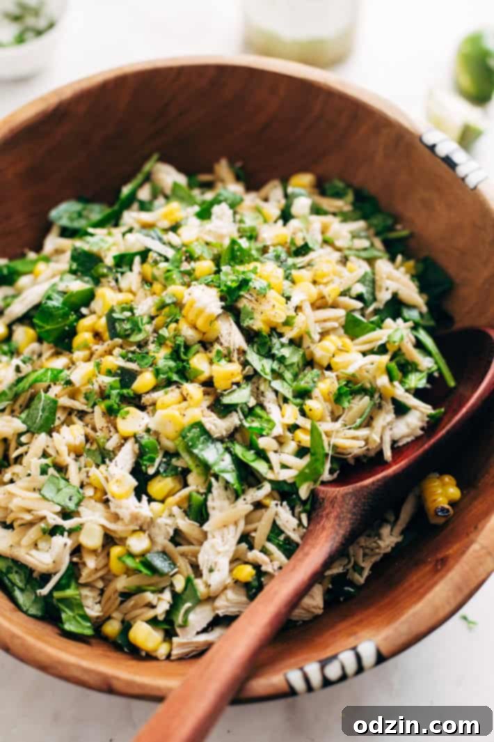 Roasted Corn Chicken Orzo Salad with Garlic Lime Vinaigrette - a simple, clean salad with no creamy dressings. This is perfect to meal prep for the week. #mealprep #healthysalad #chickensalad #pastasalad | Littlespicejar.com Roasted Corn Chicken Orzo Salad with Garlic Lime Vinaigrette - a simple, clean salad with no creamy dressings. This is perfect to meal prep for the week. #mealprep #healthysalad #chickensalad #pastasalad | Littlespicejar.com