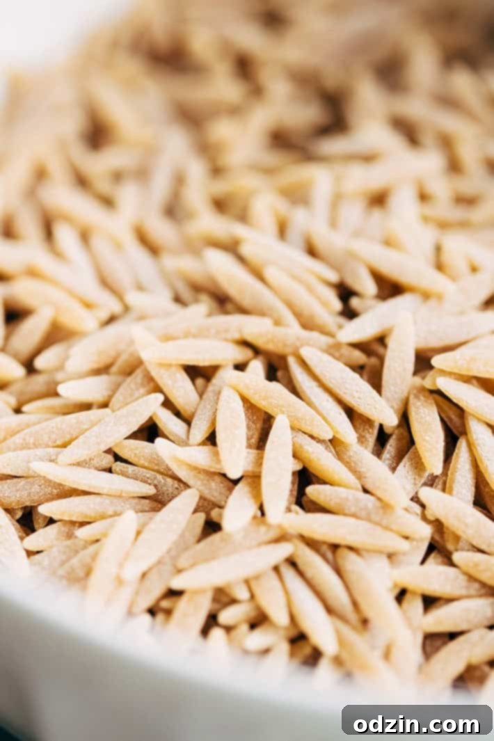 Roasted Corn Chicken Orzo Salad with Garlic Lime Vinaigrette - a simple, clean salad with no creamy dressings. This is perfect to meal prep for the week. #mealprep #healthysalad #chickensalad #pastasalad | Littlespicejar.com Roasted Corn Chicken Orzo Salad with Garlic Lime Vinaigrette - a simple, clean salad with no creamy dressings. This is perfect to meal prep for the week. #mealprep #healthysalad #chickensalad #pastasalad | Littlespicejar.com