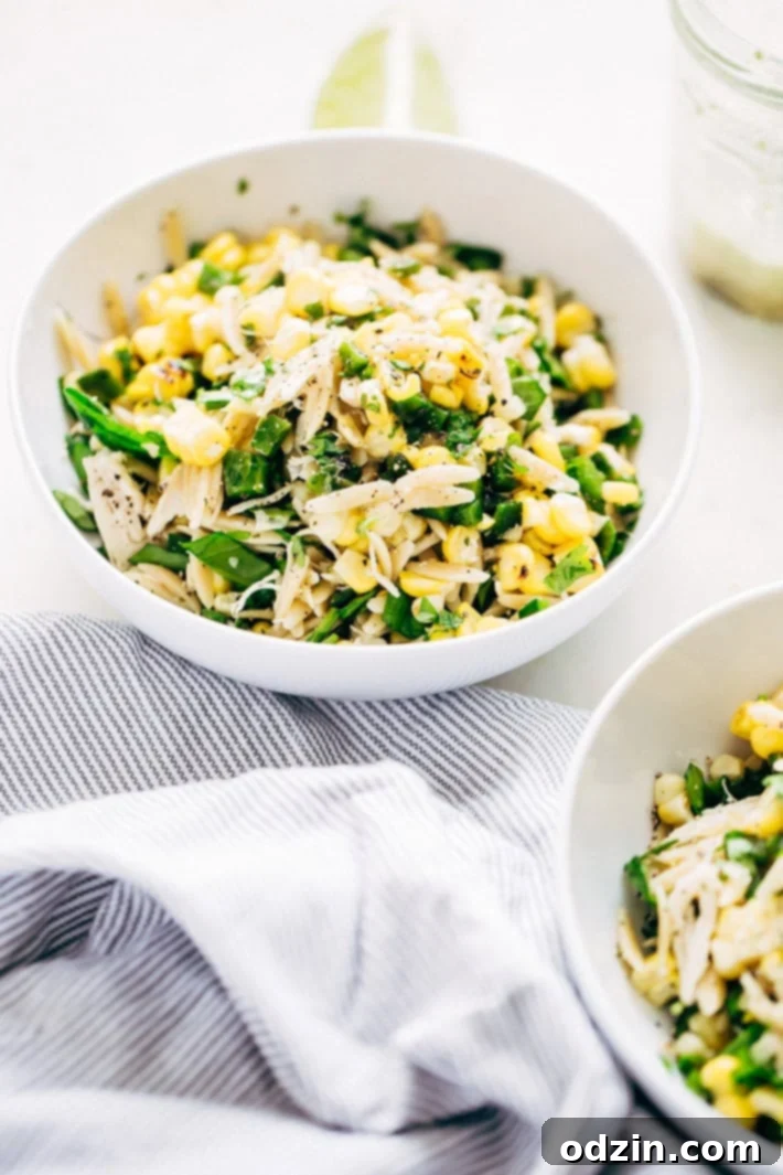 Roasted Corn Chicken Orzo Salad with Garlic Lime Vinaigrette - a simple, clean salad with no creamy dressings. This is perfect to meal prep for the week. #mealprep #healthysalad #chickensalad #pastasalad | Littlespicejar.com Roasted Corn Chicken Orzo Salad with Garlic Lime Vinaigrette - a simple, clean salad with no creamy dressings. This is perfect to meal prep for the week. #mealprep #healthysalad #chickensalad #pastasalad | Littlespicejar.com