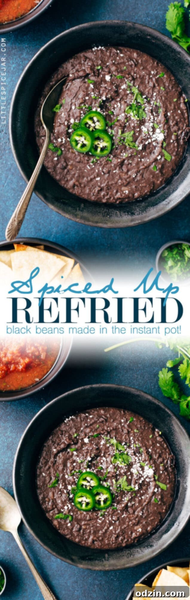 Spiced Up Refried Black Beans - perfect for any Mexican meal! Serving of Instant Pot Refried Black Beans with toppings