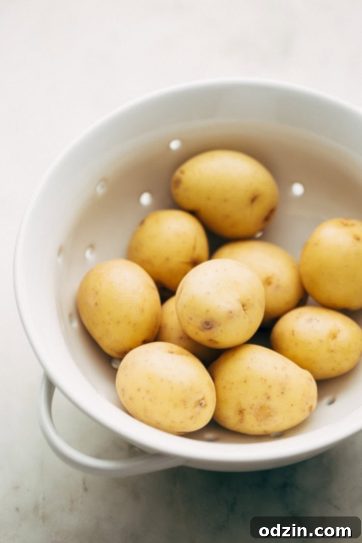 Mashup Macaroni Potato Salad - my family's favorite potato salad recipe! This is easy to make and is LOADED with flavor! #potatosalad #salad #macaronisalad #picnic #barbecue | Littlespicejar.com Delicious Macaroni Potato Salad with vibrant vegetables and a creamy, zesty dressing. Perfect for any summer gathering. #potatosalad #salad #macaronisalad #picnic #barbecue #sidedish
