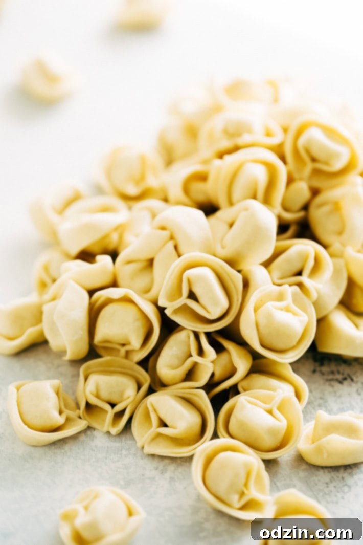 Fresh Ingredients for Spinach Pesto Tortellini Salad: Tortellini, Tomatoes, Mozzarella