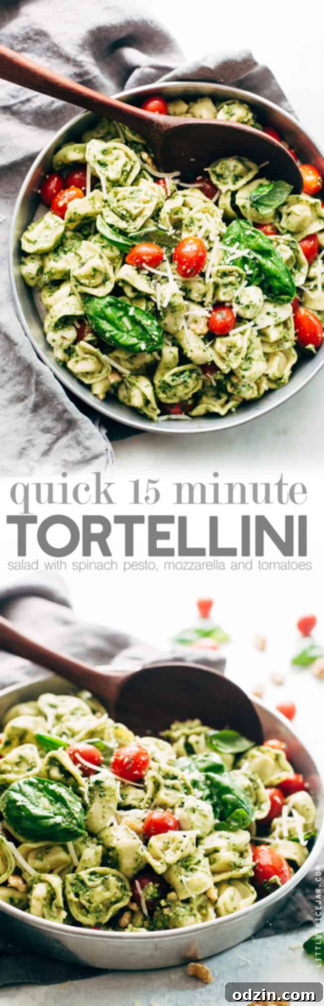 Large Image of 15-Minute Spinach Pesto Tortellini Salad with Recipe Overview