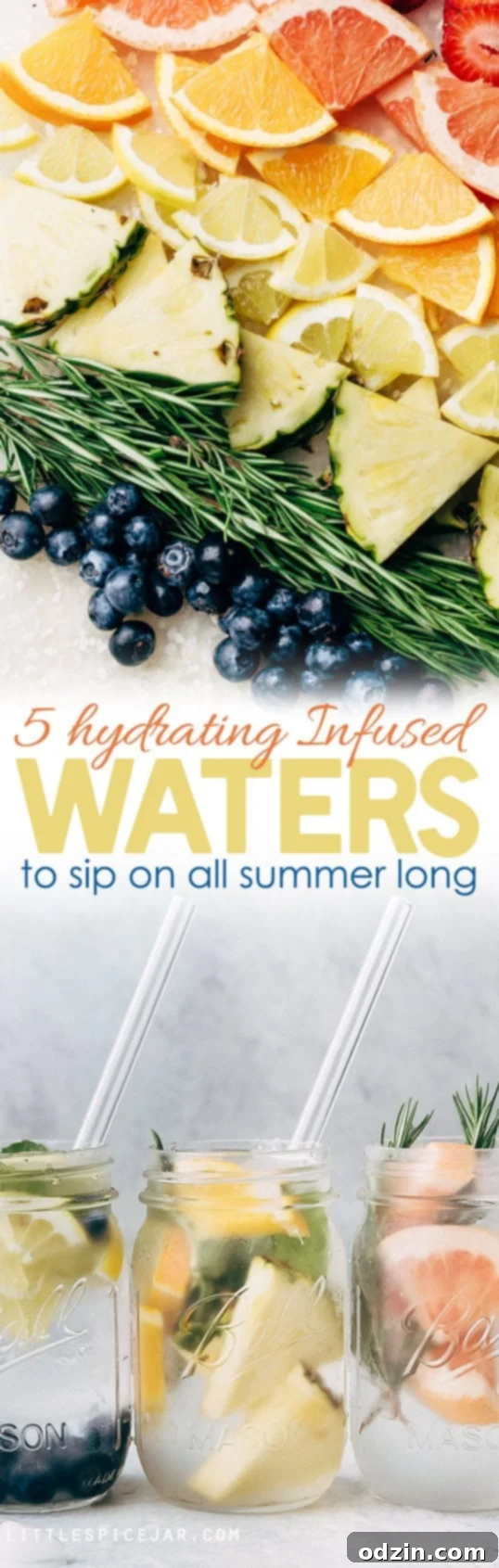 Overview of all 5 infused water recipes, ready to be enjoyed