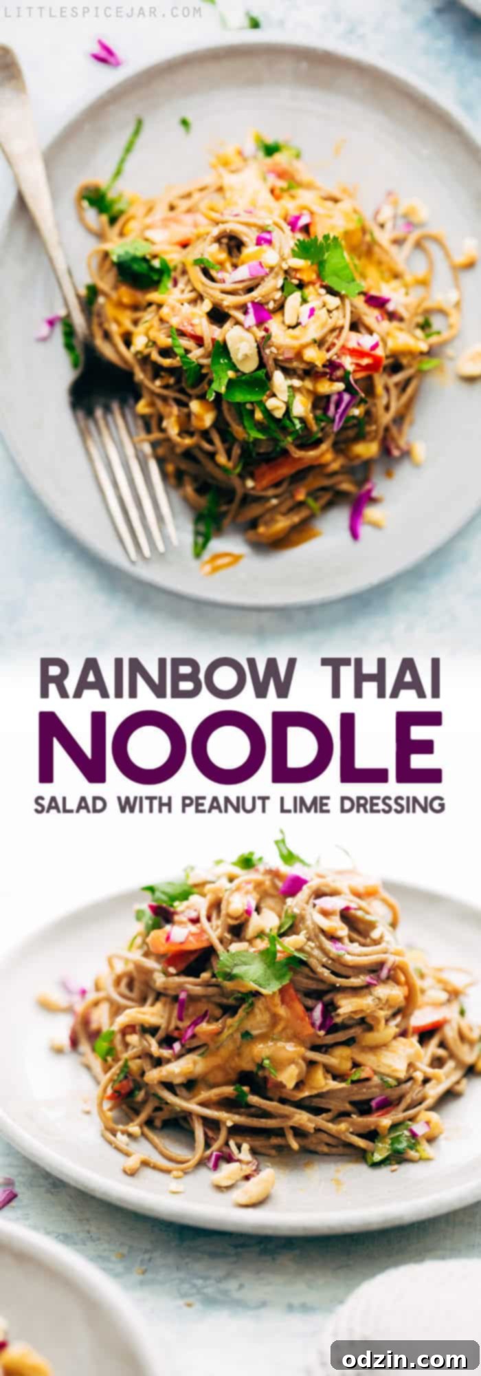 Rainbow Thai Noodle Salad with Peanut Lime Dressing - A quick, weeknight friendly noodle salad with homemade dressing, shredded chicken, tons of herbs, and lots of veggies! Overhead shot of Rainbow Thai Noodle Salad with Peanut Lime Dressing, garnished with crushed peanuts and lime.