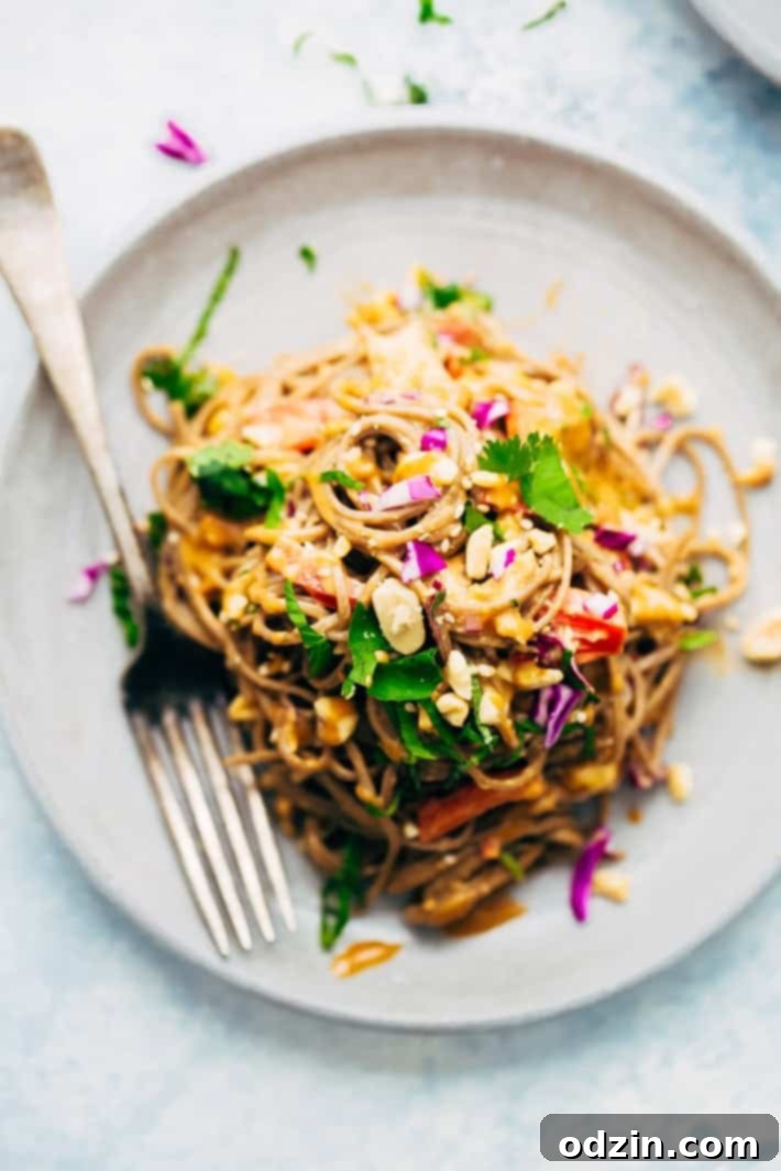 Rainbow Thai Noodle Salad with Peanut Lime Dressing - A quick, weeknight friendly noodle salad with homemade dressing, shredded chicken, tons of herbs, and lots of veggies! Close-up of Rainbow Thai Noodle Salad with Shredded Chicken, Fresh Herbs, and Peanut Lime Dressing