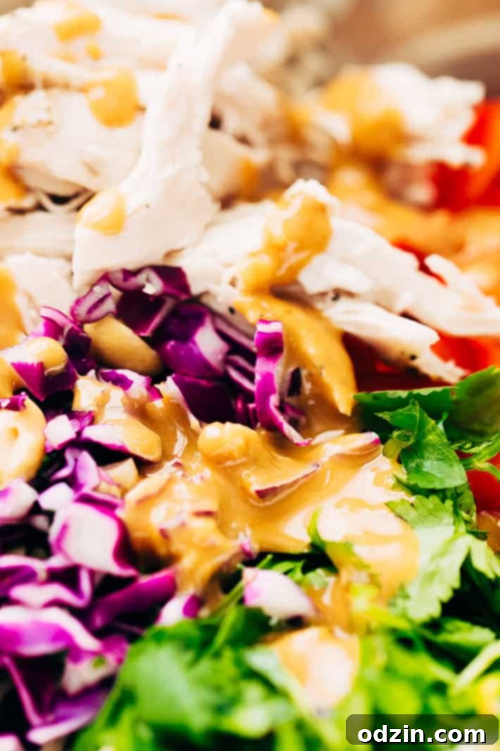 Rainbow Thai Noodle Salad with Peanut Lime Dressing - A quick, weeknight friendly noodle salad with homemade dressing, shredded chicken, tons of herbs, and lots of veggies! Rainbow Thai Noodle Salad with various toppings and ingredients, showcasing fresh produce.