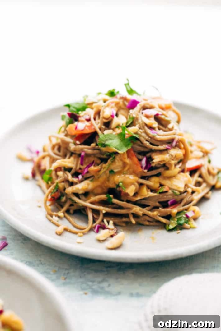 Rainbow Thai Noodle Salad with Peanut Lime Dressing - A quick, weeknight friendly noodle salad with homemade dressing, shredded chicken, tons of herbs, and lots of veggies! Bowl of Peanut Lime Dressing, showing its creamy texture and rich color.