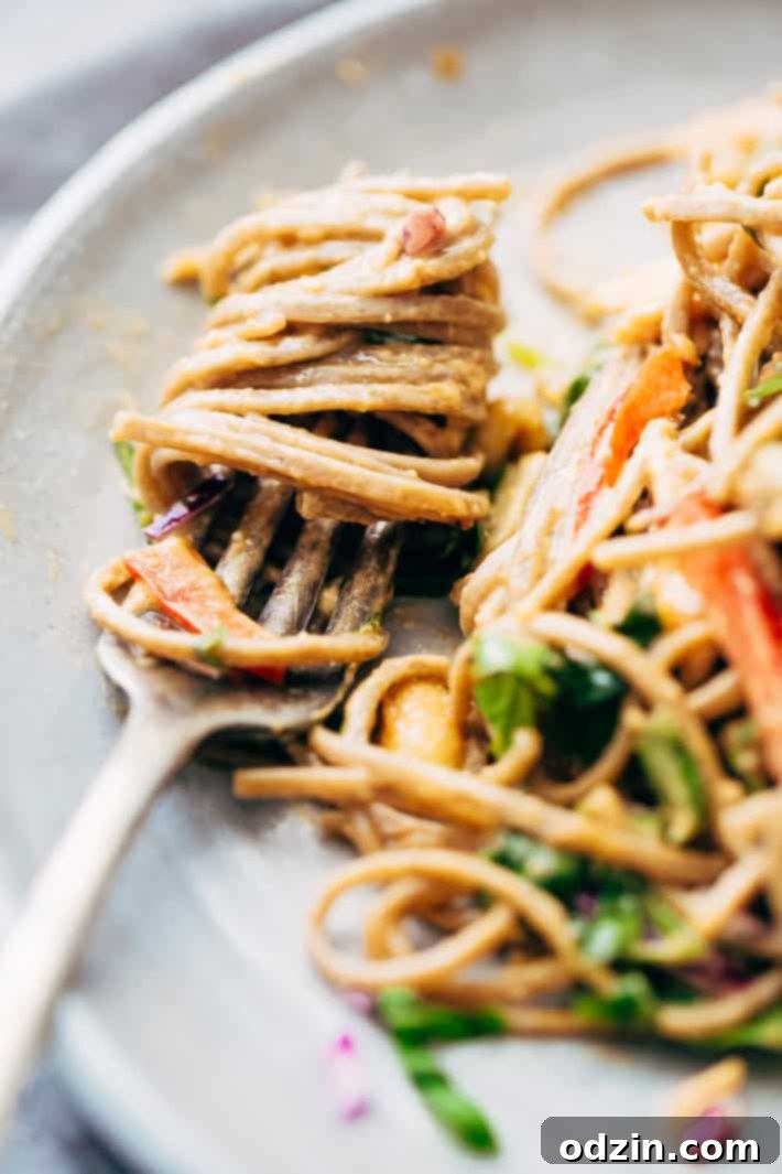 Rainbow Thai Noodle Salad with Peanut Lime Dressing - A quick, weeknight friendly noodle salad with homemade dressing, shredded chicken, tons of herbs, and lots of veggies! Prepared Rainbow Thai Noodle Salad ready for serving, showcasing its vibrant colors and ingredients.