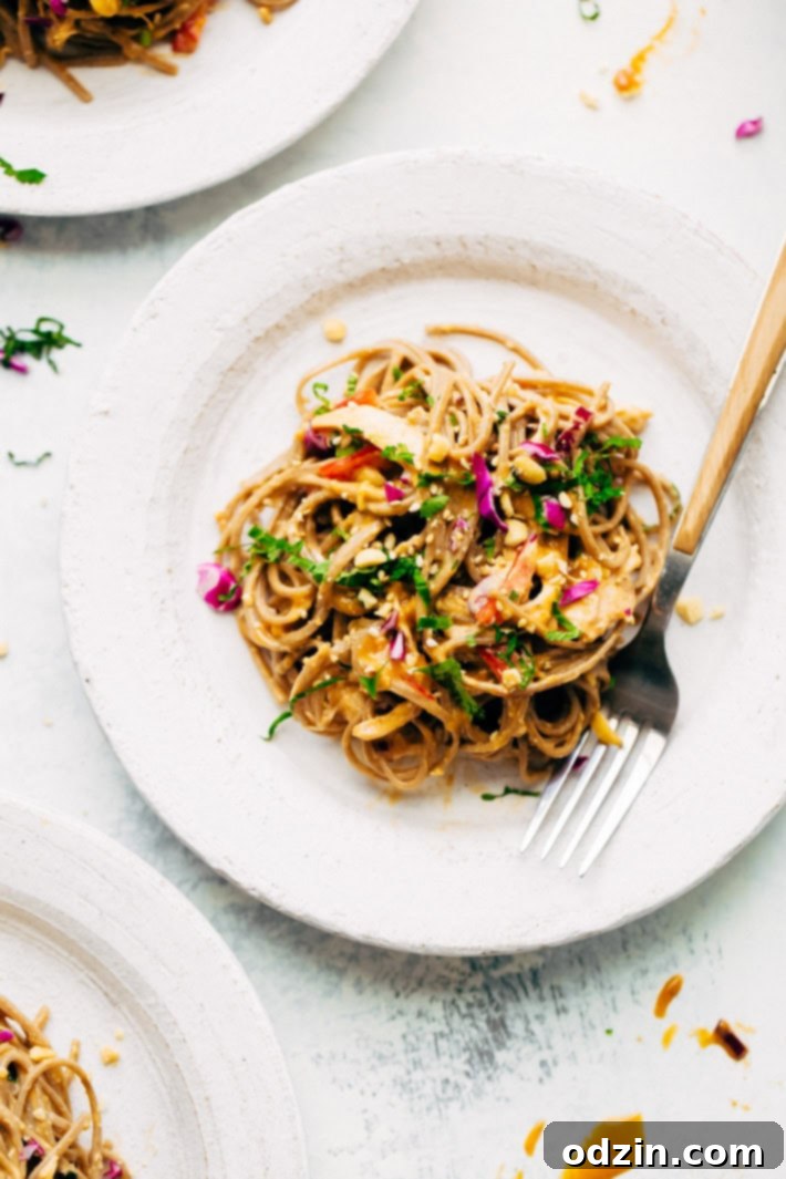 Rainbow Thai Noodle Salad with Peanut Lime Dressing - A quick, weeknight friendly noodle salad with homemade dressing, shredded chicken, tons of herbs, and lots of veggies! A close-up view of the Rainbow Thai Noodle Salad from a different angle, emphasizing the rich dressing and fresh herbs.