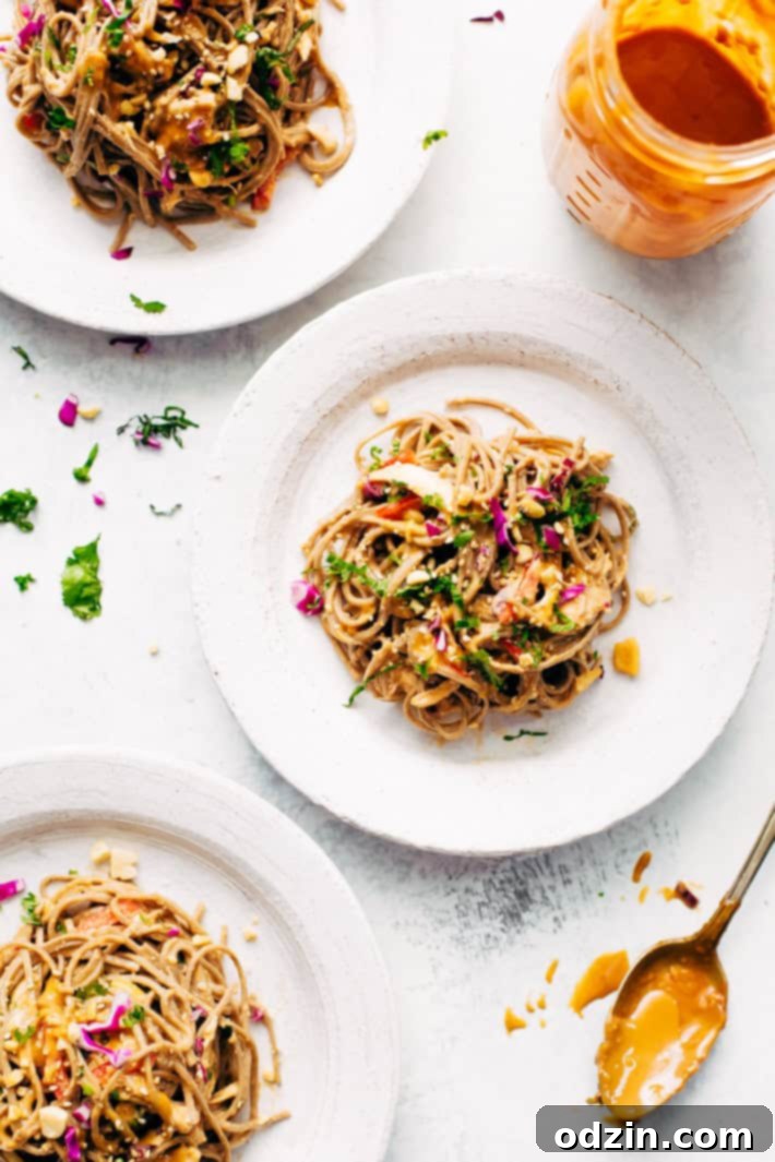 Rainbow Thai Noodle Salad with Peanut Lime Dressing