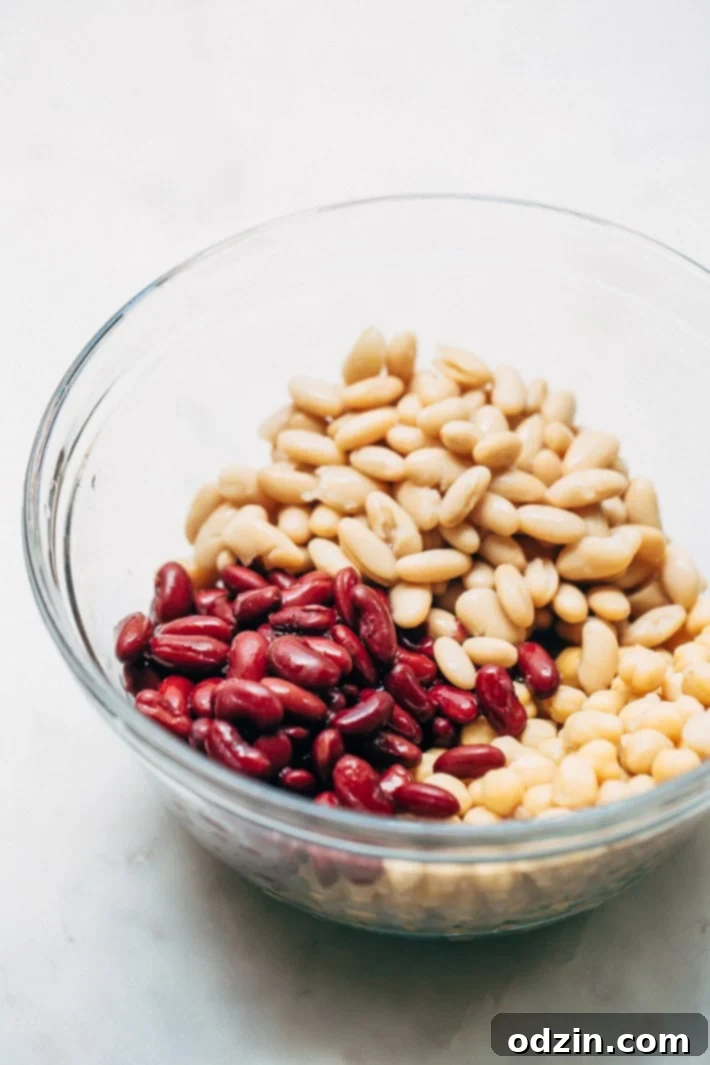 Overhead view of a delicious Three Bean Greek Salad
