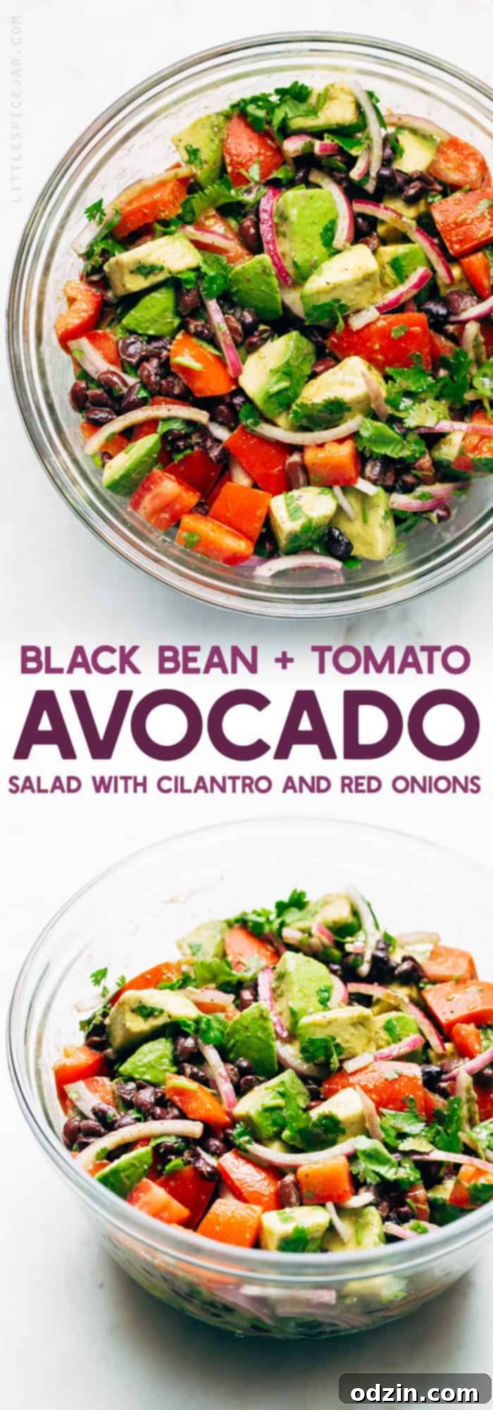 Large serving of Black Bean Tomato Avocado Salad, showcasing the abundant and fresh ingredients. A fulfilling and healthy meal option, bursting with flavor.
