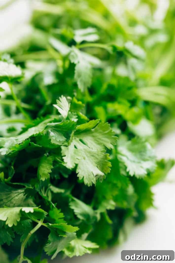 Another enticing view of the Black Bean Tomato Avocado Salad, emphasizing its vibrant colors and fresh appeal. This healthy salad is quick to prepare and incredibly versatile. #avocado #avocadosalad #tomatoavocadosalad #blackbeansalad