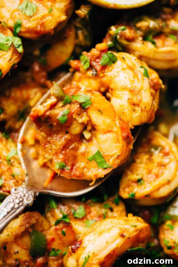 Spicy Shrimp Masala Close Up Overhead view of a serving of Spicy Shrimp Masala with fresh cilantro, highlighting the rich texture and vibrant colors of this quick and easy Indian dish.